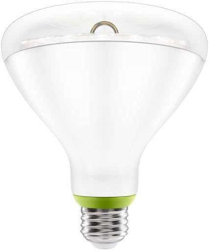 GE Link A19 Soft White Bulb